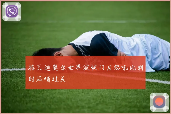 格瓦迪奥尔世界波破门后怒吼比利时压哨过关