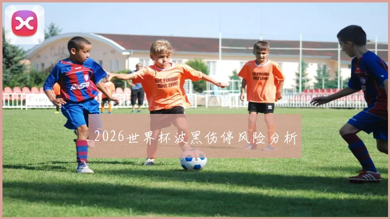 2026世界杯波黑伤停风险分析